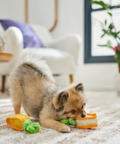 Frisco Easter Carrot Plush Squeaky Dog Toy, 2 pack 7 Frisco Easter Carrot Plush Squeaky Dog Toy, 2 pack -PetNest Shop 306954 PT3. SY630 V1642441051