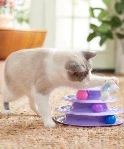 Frisco Unicorn & Rainbow Cat Tracks Cat Toy with Catnip -PetNest Shop 308891 PT3. SY630 V1642688532