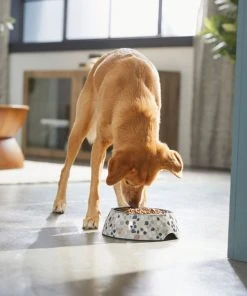 Frisco Terrazzo Design Stainless Steel Dog & Cat Bowl -PetNest Shop 311955 PT2. SY630 V1642535588