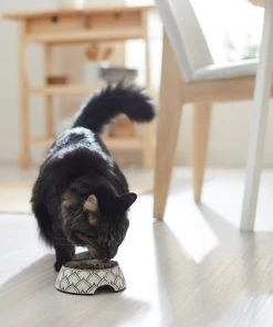 Frisco Moroccan Design Stainless Steel Dog & Cat Bowl -PetNest Shop 311963 PT3. SY630 V1642542386