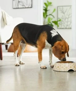 Frisco Circle Design Stainless Steel Dog & Cat Bowl -PetNest Shop 311967 PT2. SY630 V1642542871