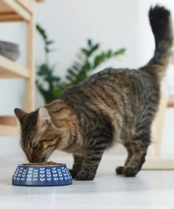 Frisco Leaf Design Stainless Steel Dog & Cat Bowl, Blue -PetNest Shop 311979 PT3. SY630 V1642542946