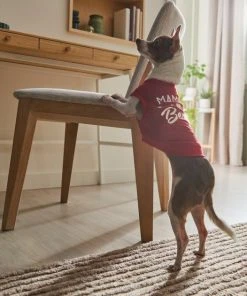 Frisco Mama's Bestie Dog & Cat T-Shirt -PetNest Shop 312056 PT8. SY630 V1644425515