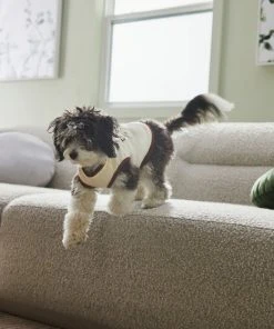 Frisco Problem Child Dog & Cat T-Shirt -PetNest Shop 312064 PT8. SY630 V1644427134