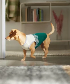 Frisco Tropical Palm Dog & Cat T-Shirt -PetNest Shop 312072 PT8. SY630 V1644425897