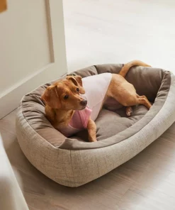 Frisco Mama's Girl Dog & Cat T-Shirt -PetNest Shop 312096 PT8. SY630 V1644427093