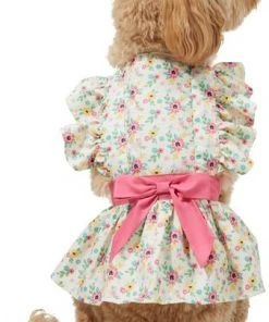 Frisco Dainty Pink Floral Dog & Cat Dress