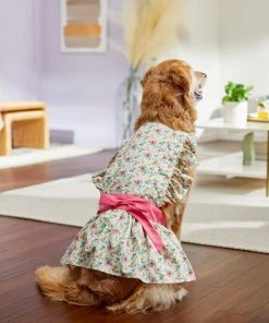 Frisco Dainty Pink Floral Dog & Cat Dress -PetNest Shop 312136 PT8. SY630 V1644531784