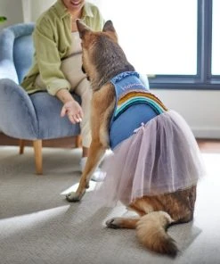 Frisco Rainbow Denim Dog & Cat Dress -PetNest Shop 312144 PT8. SY630 V1644527534