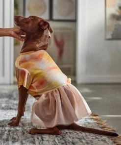 Frisco Tie Dye Pink Tutu Dog & Cat Dress -PetNest Shop 312152 PT8. SY630 V1644528801