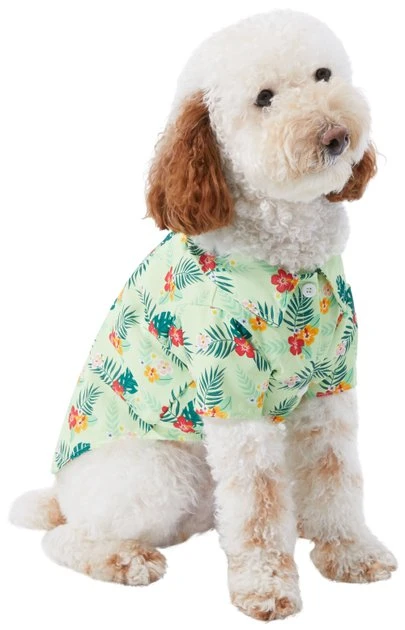 Frisco Hawaiian Floral Camp Dog & Cat Shirt 3 Frisco Hawaiian Floral Camp Dog & Cat Shirt