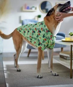 Frisco Hawaiian Floral Camp Dog & Cat Shirt 17 Frisco Hawaiian Floral Camp Dog & Cat Shirt -PetNest Shop 312168 PT8. SY630 V1644524650
