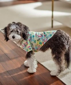 Frisco Flamingo Camp Dog & Cat Shirt -PetNest Shop 312176 PT8. SY630 V1644527708