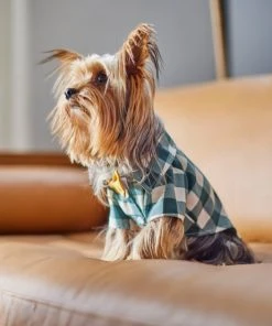 Frisco Boho Plaid Dog & Cat Shirt 17 Frisco Boho Plaid Dog & Cat Shirt -PetNest Shop 312184 PT8. SY630 V1644524330