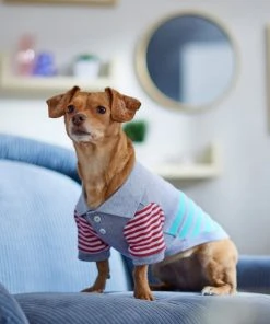 Frisco Striped Polo Dog & Cat Shirt -PetNest Shop 312208 PT8. SY630 V1644882482