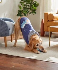 Frisco Starry Night Dog & Cat Hoodie -PetNest Shop 312216 PT8. SY630 V1644882274