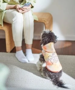 Frisco Good Vibes Dog & Cat Hoodie 15 Frisco Good Vibes Dog & Cat Hoodie -PetNest Shop 312224 PT8. SY630 V1644880111