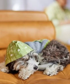 Frisco Green Southwest Dog & Cat Hoodie -PetNest Shop 312248 PT8. SY630 V1644883113