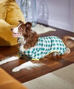 Frisco Boho Gingham Dog & Cat PJs -PetNest Shop 312272 PT8. SY630 V1644880063