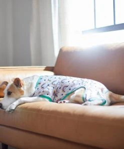Frisco Rainbow Dog & Cat PJs -PetNest Shop 312280 PT8. SY630 V1644886098