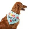 Frisco Living My Best Life Dog & Cat Bandana -PetNest Shop 312288 MAIN. SY630 V1644881351