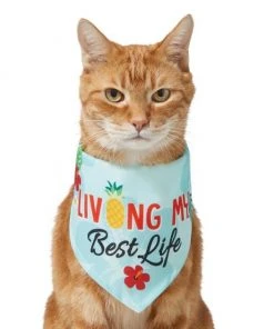 Frisco Living My Best Life Dog & Cat Bandana -PetNest Shop 312288 PT2. SY630 V1644884916