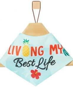 Frisco Living My Best Life Dog & Cat Bandana -PetNest Shop 312288 PT3. SY630 V1644883285