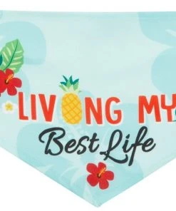 Frisco Living My Best Life Dog & Cat Bandana -PetNest Shop 312288 PT4. SY630 V1644882738