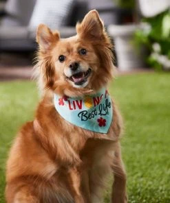 Frisco Living My Best Life Dog & Cat Bandana -PetNest Shop 312288 PT8. SY630 V1644885219