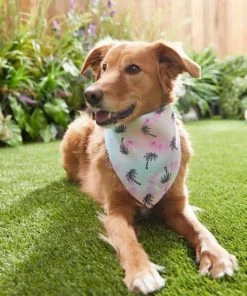 Frisco Palm Tree Dog & Cat Bandana -PetNest Shop 312291 PT8. SY630 V1644881007