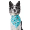 Frisco Spring Floral Dog & Cat Bandana -PetNest Shop 312294 MAIN. SY630 V1644879397