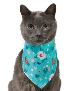 Frisco Spring Floral Dog & Cat Bandana -PetNest Shop 312294 PT2. SY630 V1644882580