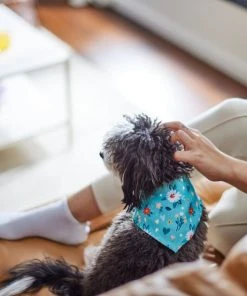 Frisco Spring Floral Dog & Cat Bandana -PetNest Shop 312294 PT8. SY630 V1644881583