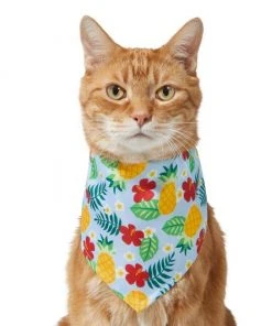 Frisco Hawaiian Pineapple Dog & Cat Bandana -PetNest Shop 312300 PT2. SY630 V1644878643