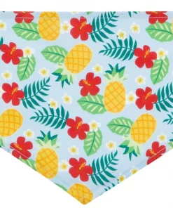 Frisco Hawaiian Pineapple Dog & Cat Bandana -PetNest Shop 312300 PT4. SY630 V1644880316