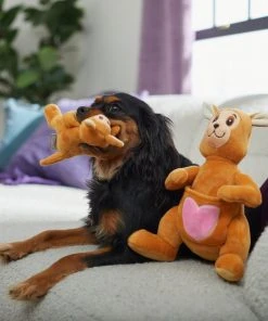 Frisco Kangaroo & Joey Plush Squeaky Dog Toy, 2 count 9 Frisco Kangaroo & Joey Plush Squeaky Dog Toy, 2 count -PetNest Shop 312899 PT3. SY630 V1638987688