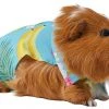 Frisco Pineapple Hawaiian Camp Guinea Pig Shirt -PetNest Shop 313122 MAIN. SY630 V1644431496