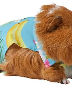 Frisco Pineapple Hawaiian Camp Guinea Pig Shirt