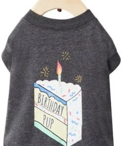 Frisco Birthday Pup Dog & Cat T-Shirt -PetNest Shop 315075 PT4. SY630 V1646437031