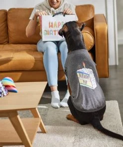 Frisco Birthday Pup Dog & Cat T-Shirt -PetNest Shop 315075 PT8. SY630 V1646442759