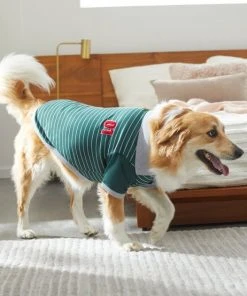 Frisco Green Rugby Dog & Cat Polo Shirt -PetNest Shop 315083 PT8. SY630 V1646437999