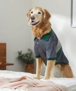 Frisco Green Striped Polo Dog & Cat Shirt -PetNest Shop 315091 PT8. SY630 V1646434389