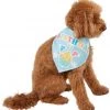 Frisco Birthday Pup Dog & Cat Bandana 1 Frisco Birthday Pup Dog & Cat Bandana -PetNest Shop 315130 MAIN. SY630 V1646437330