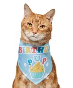Frisco Birthday Pup Dog & Cat Bandana -PetNest Shop 315130 PT2. SY630 V1646437964