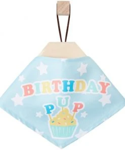 Frisco Birthday Pup Dog & Cat Bandana -PetNest Shop 315130 PT4. SY630 V1646441905