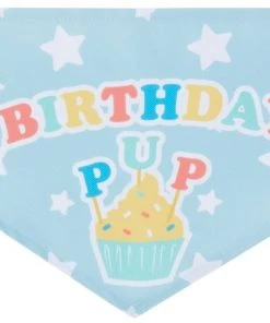 Frisco Birthday Pup Dog & Cat Bandana -PetNest Shop 315130 PT5. SY630 V1646434611