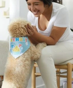 Frisco Birthday Pup Dog & Cat Bandana -PetNest Shop 315130 PT8. SY630 V1646434068
