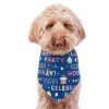 Frisco Celebration Dog & Cat Bandana -PetNest Shop 315133 MAIN. SY630 V1646438946