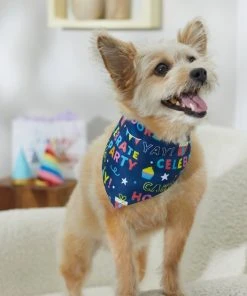 Frisco Celebration Dog & Cat Bandana -PetNest Shop 315133 PT8. SY630 V1646439775