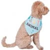 Frisco Party Animal Dog & Cat Bandana -PetNest Shop 315136 MAIN. SY630 V1646438241